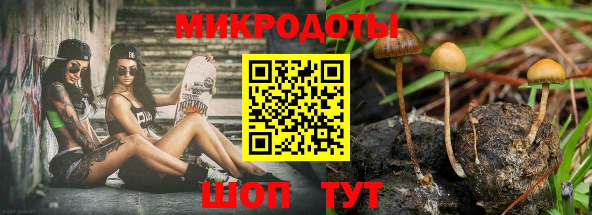 как найти наркотики  Галлюциногенные грибы Psilocybe  Вход с VPN  Волгодонск 